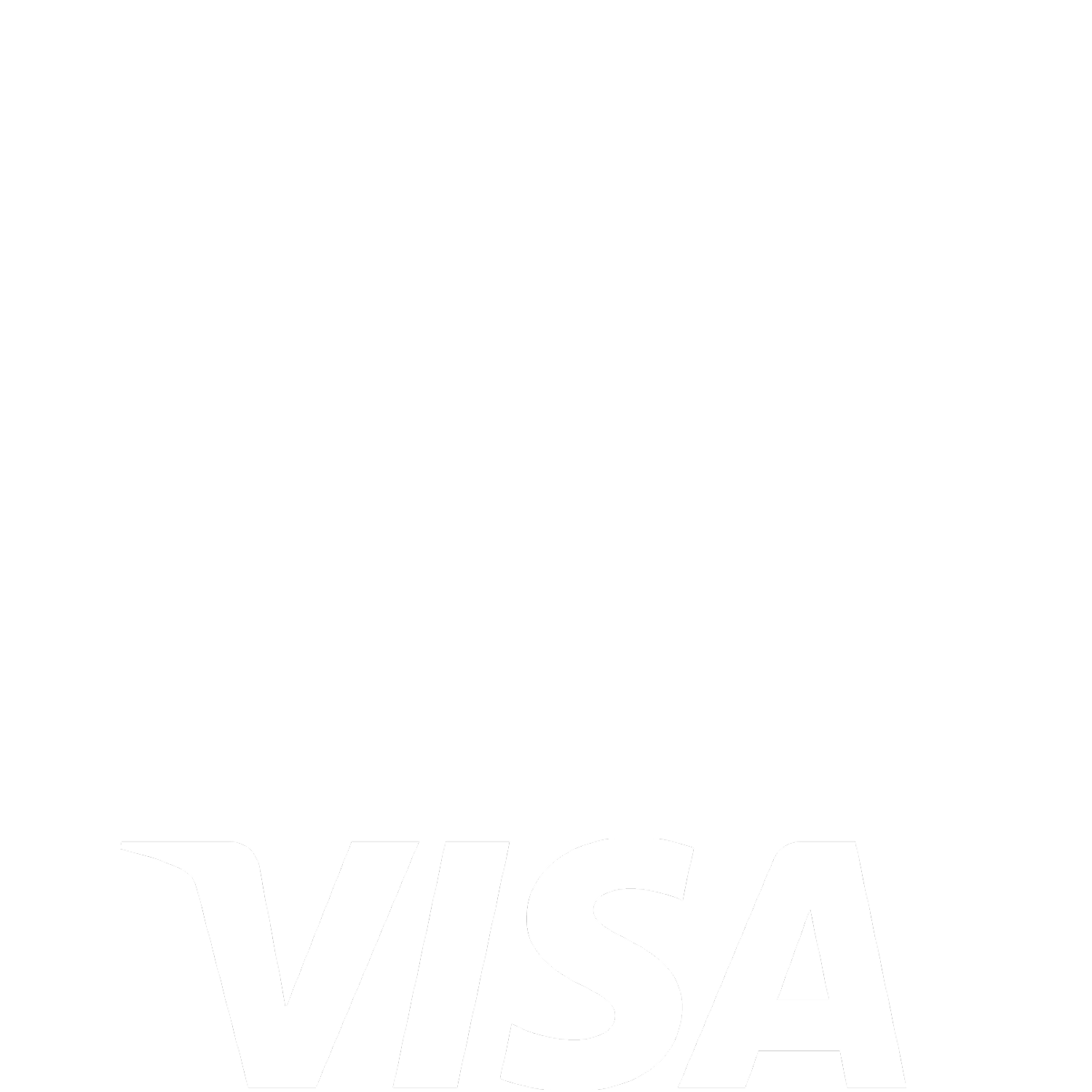 logo visa