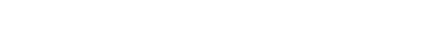 WEALTHON logo białe